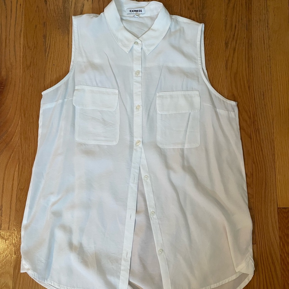 LAST DAY LEFT TO BUY Express White Sheer Blouse